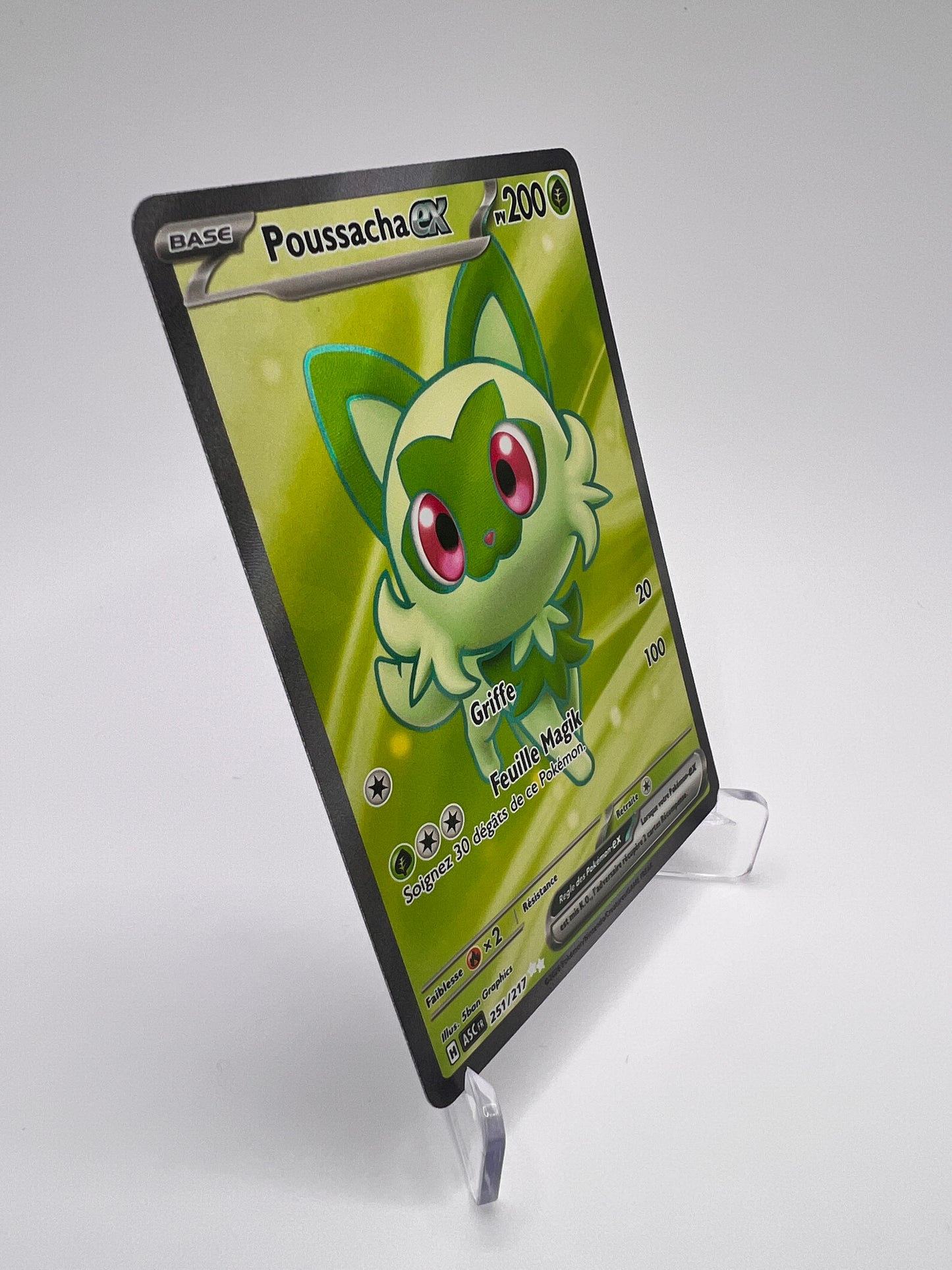 Poussacha Ex 251/217