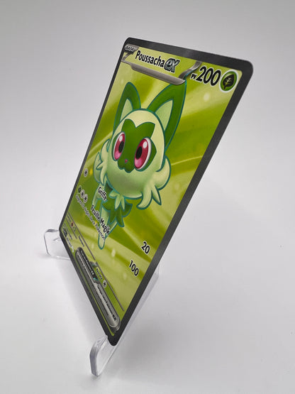 Poussacha Ex 251/217