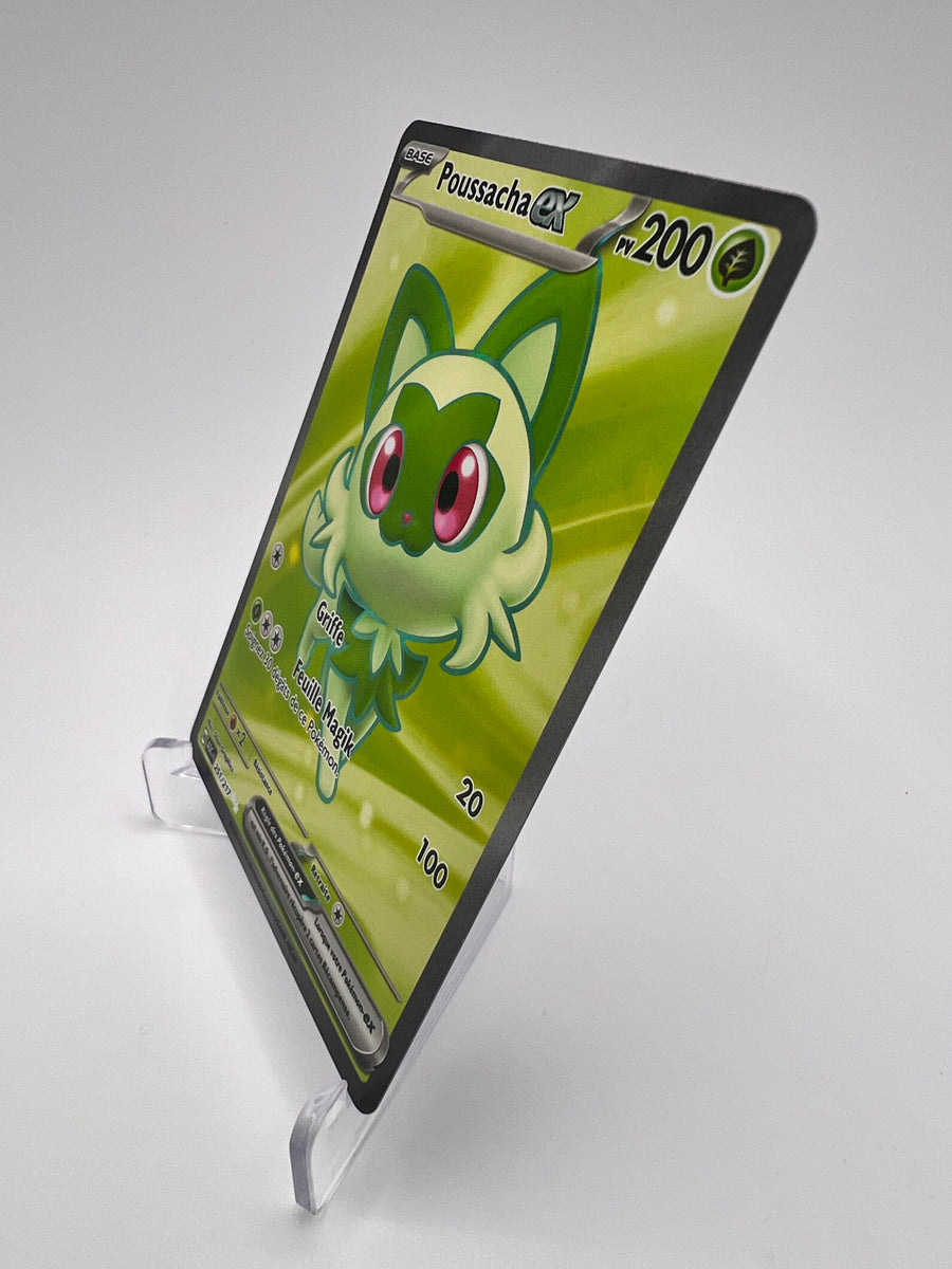 Poussacha Ex 251/217