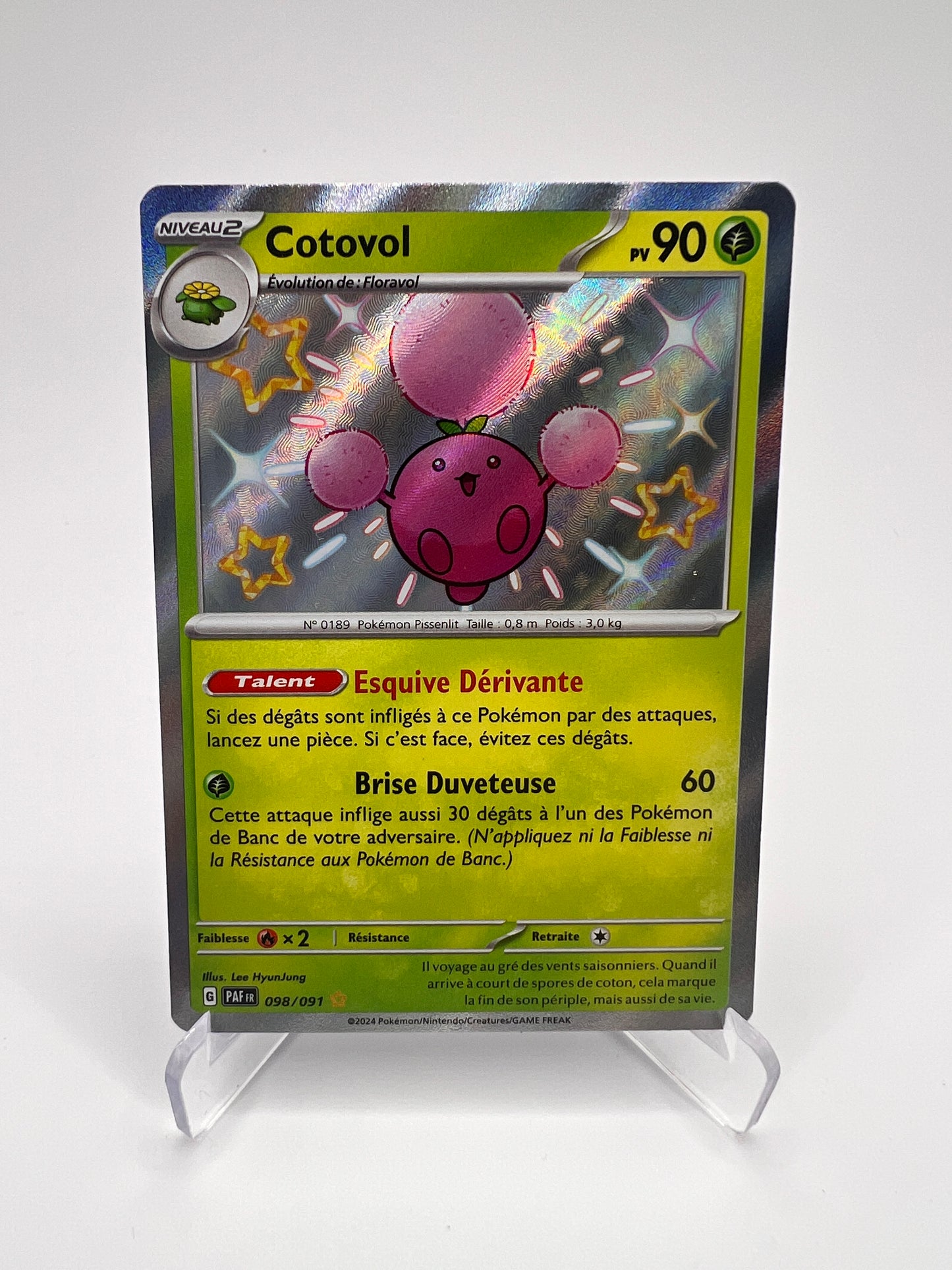 Cotovol 098/91 Shiny