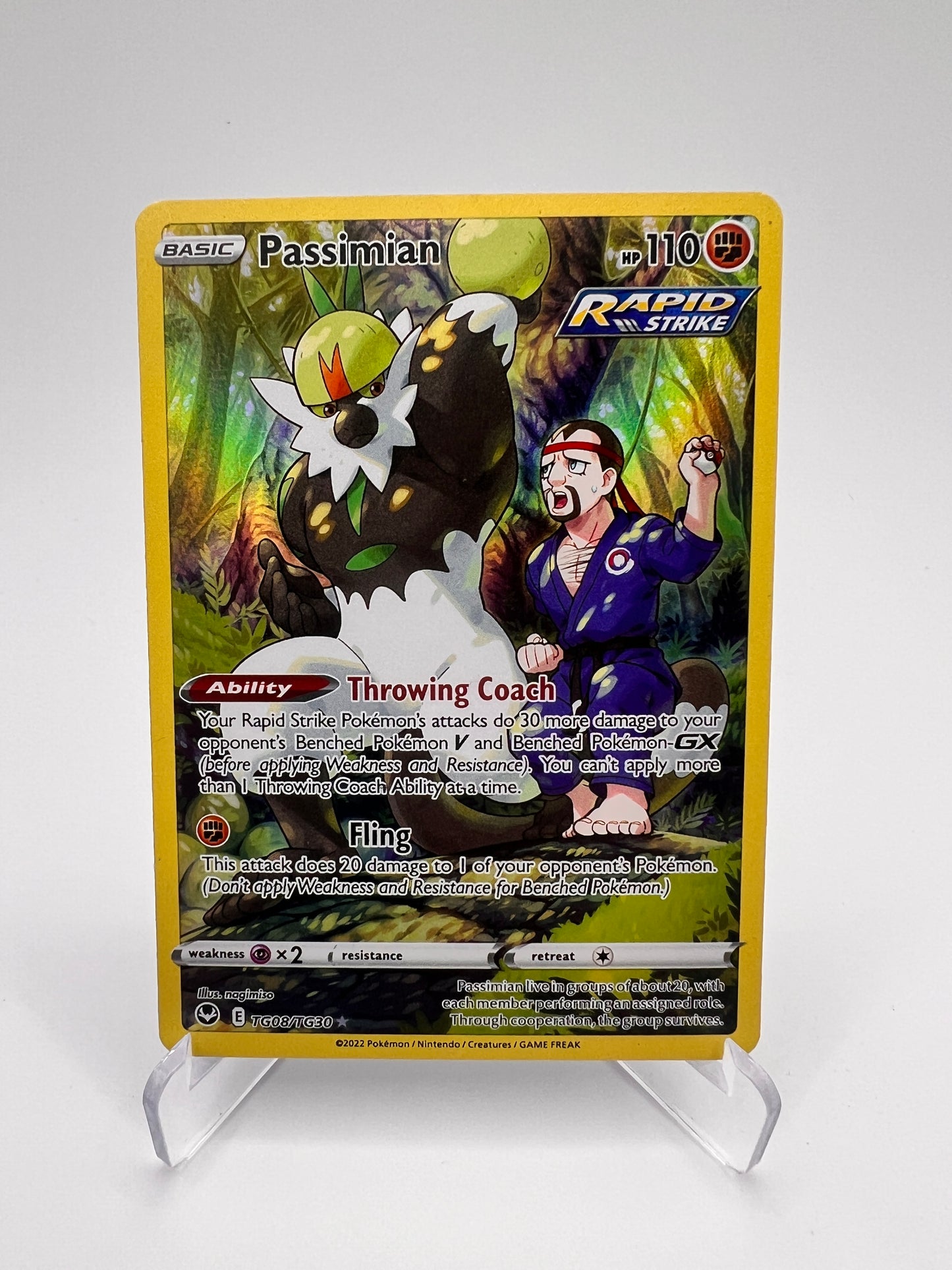 Passimian TG08/TG30 Eng