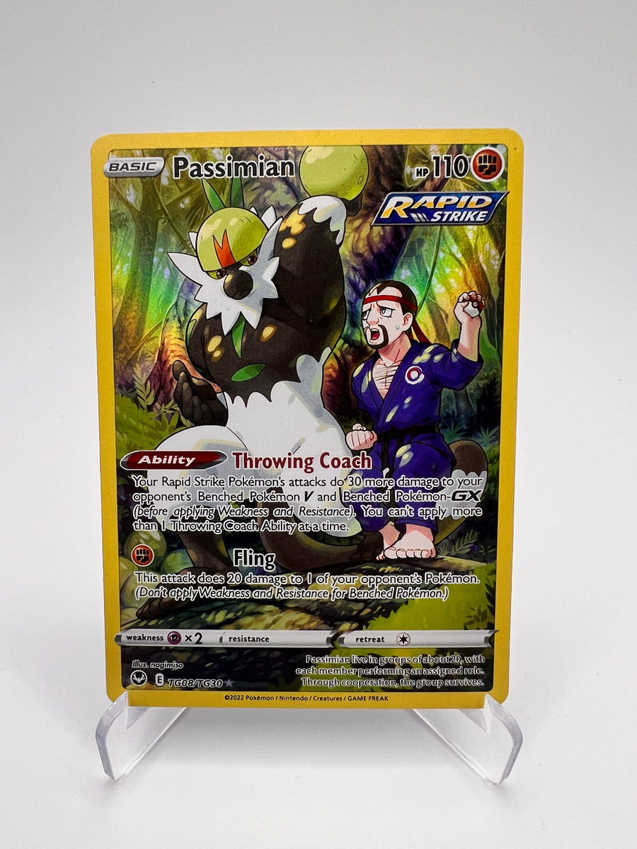 Passimian TG08/TG30 Eng