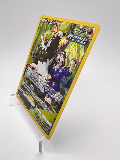 Passimian TG08/TG30 Eng