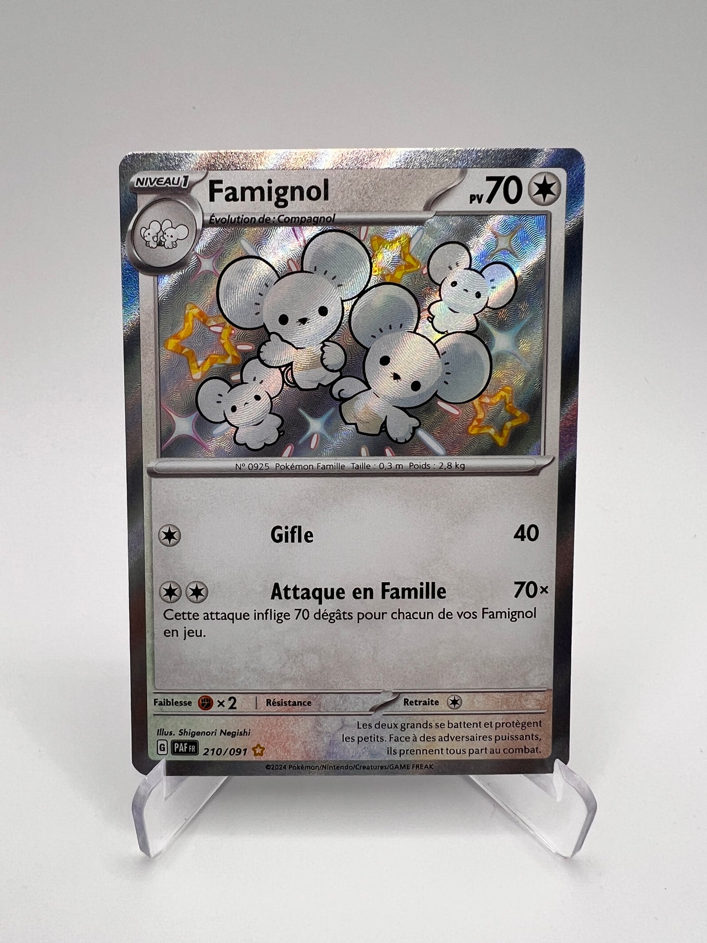 Famignol 210/091 Shiny
