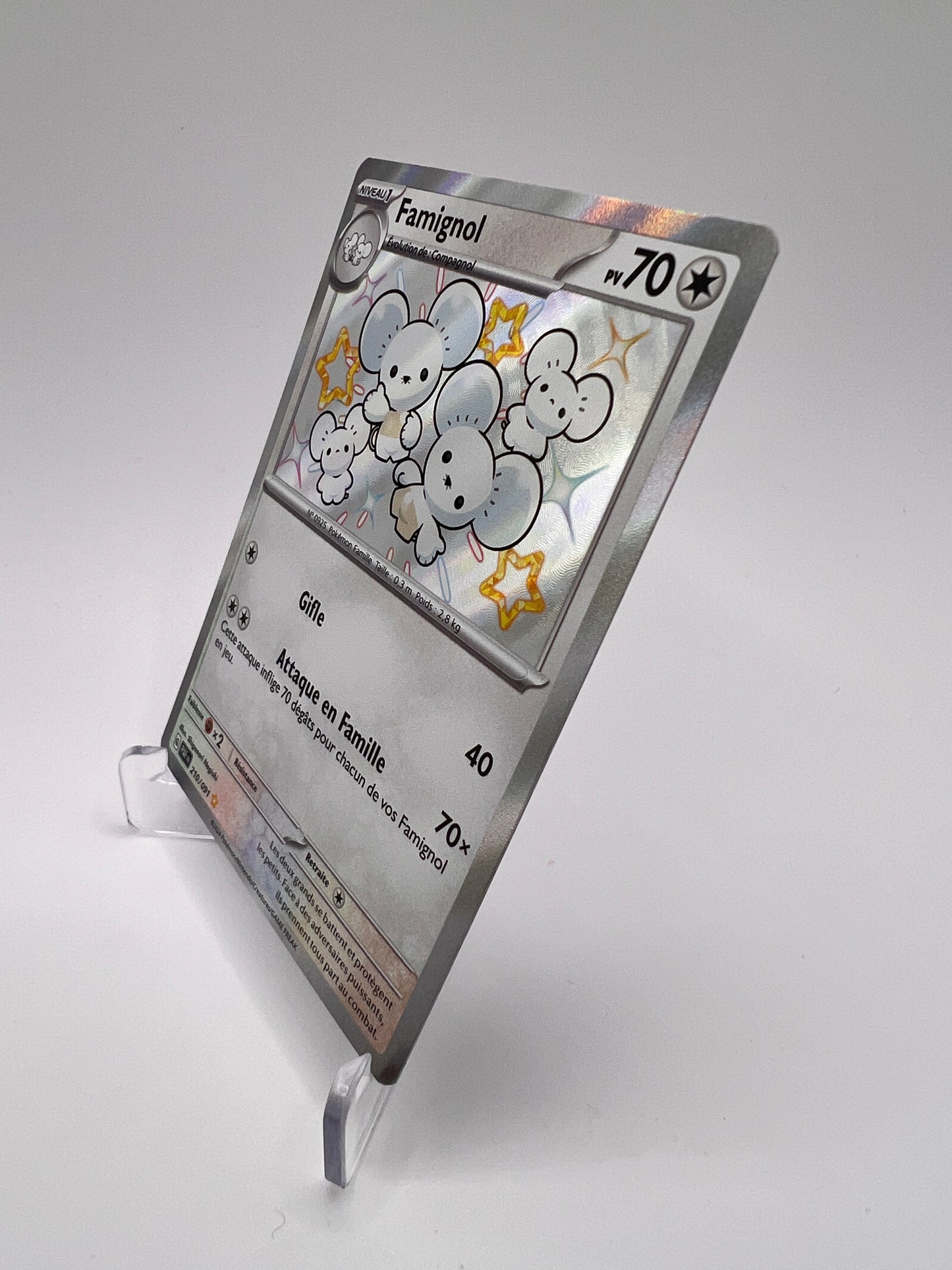 Famignol 210/091 Shiny