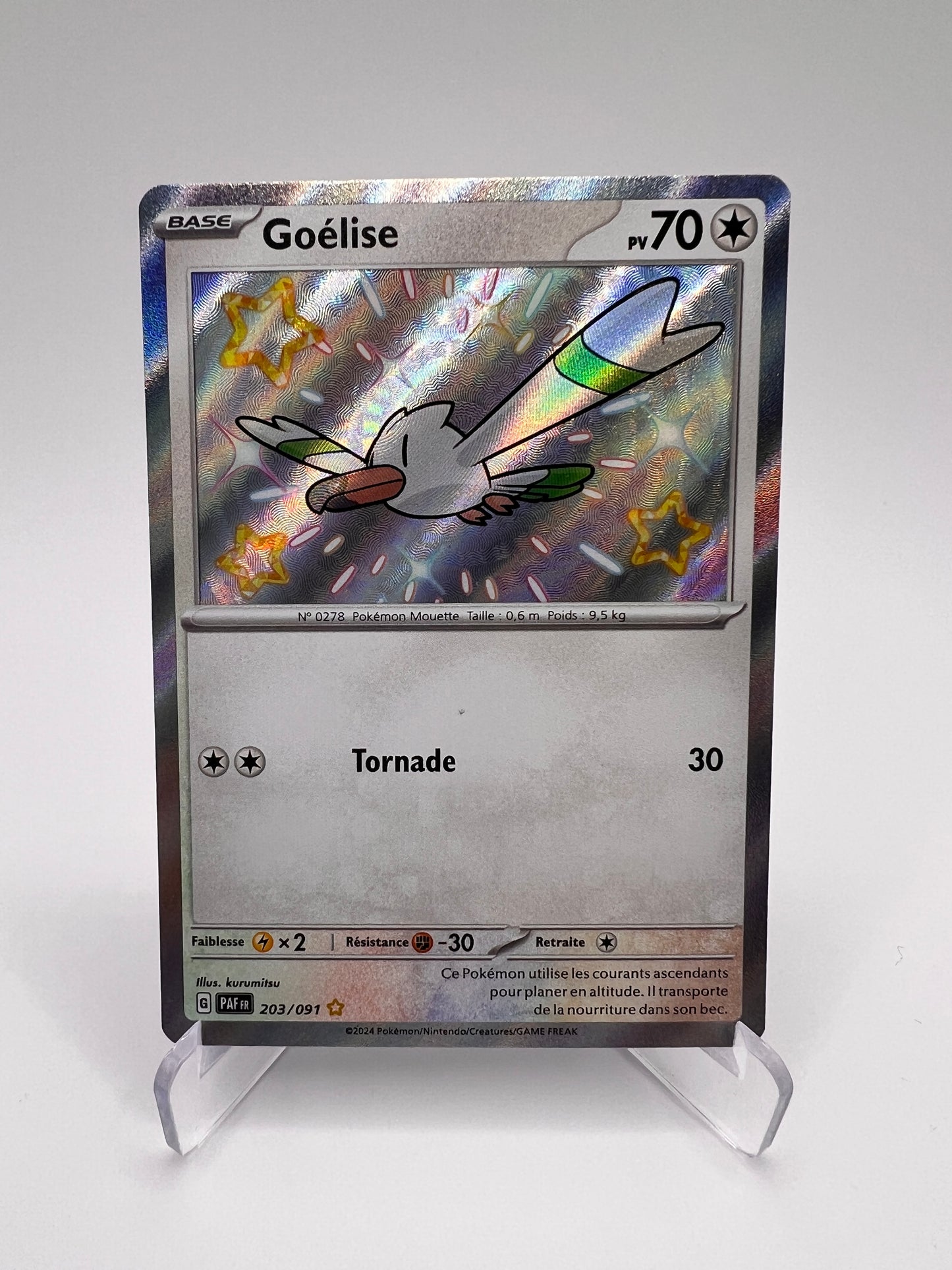 Goëlise 203/091 Shiny