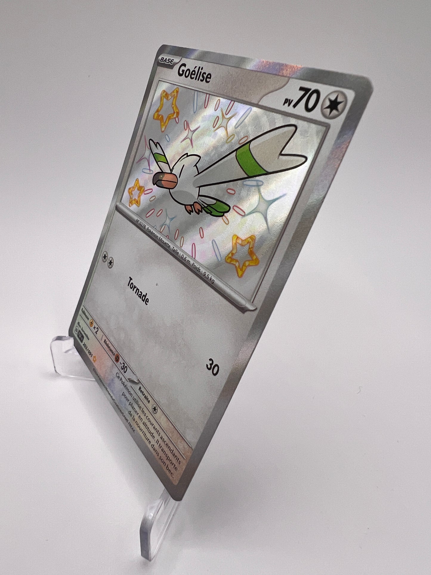 Goëlise 203/091 Shiny