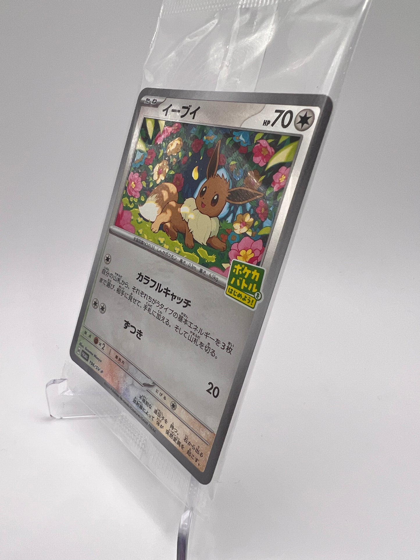 Évoli (SV-P 196) Jap