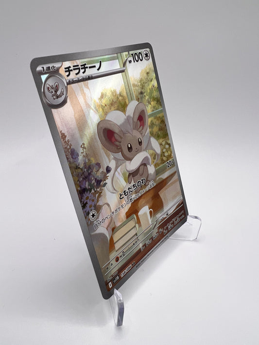 Pashmilla (sv11B 158) Jap