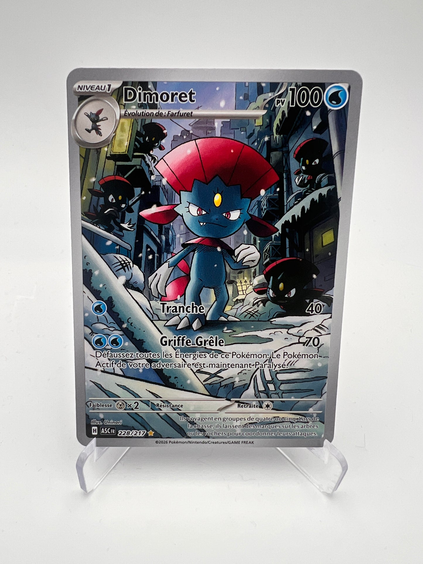 Dimoret 228/217 – Illustration Rare – Héros Transcendants – Near Mint – Carte Pokémon