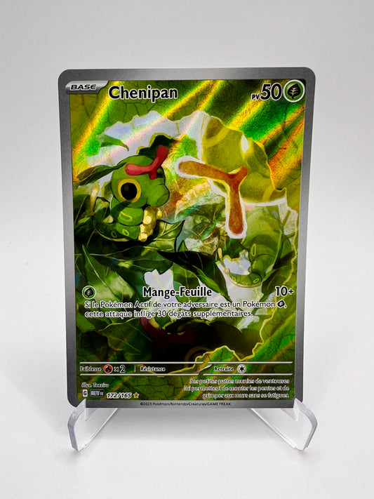 Chenipan 172/165