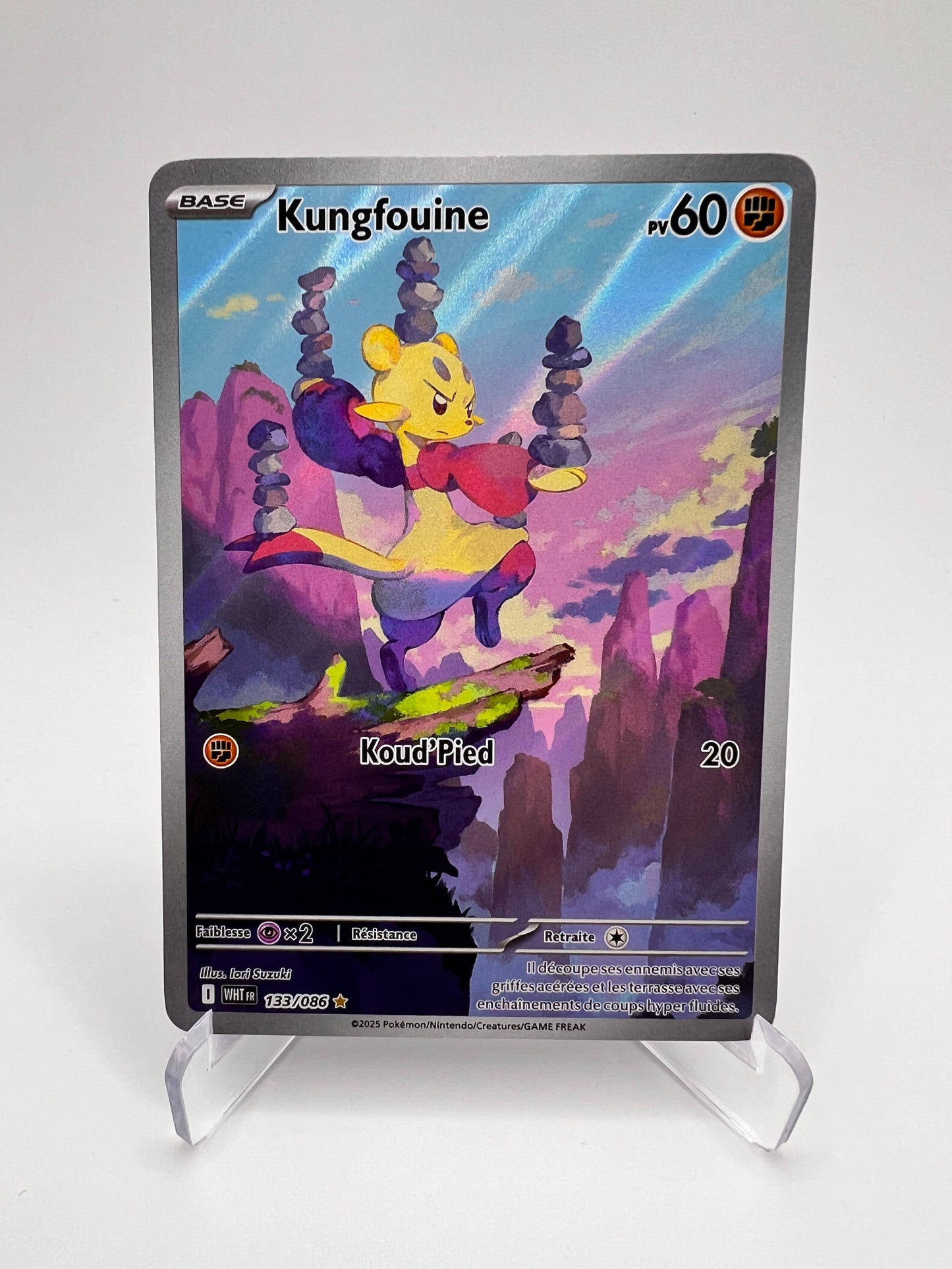 Kungfouine 133/086