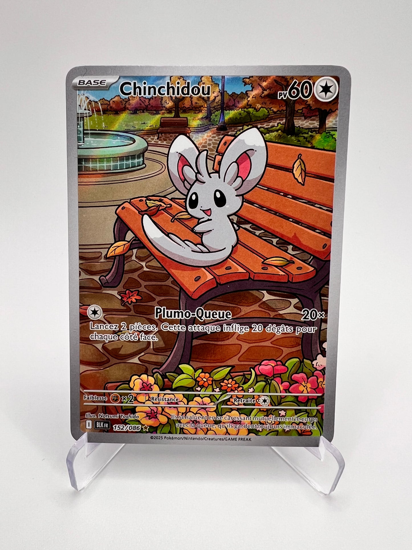 Chinchidou 152/086