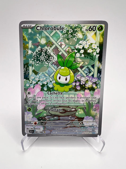 Chlorobule 091/086