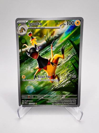 Iguolta 177/167 Pikadi Collect