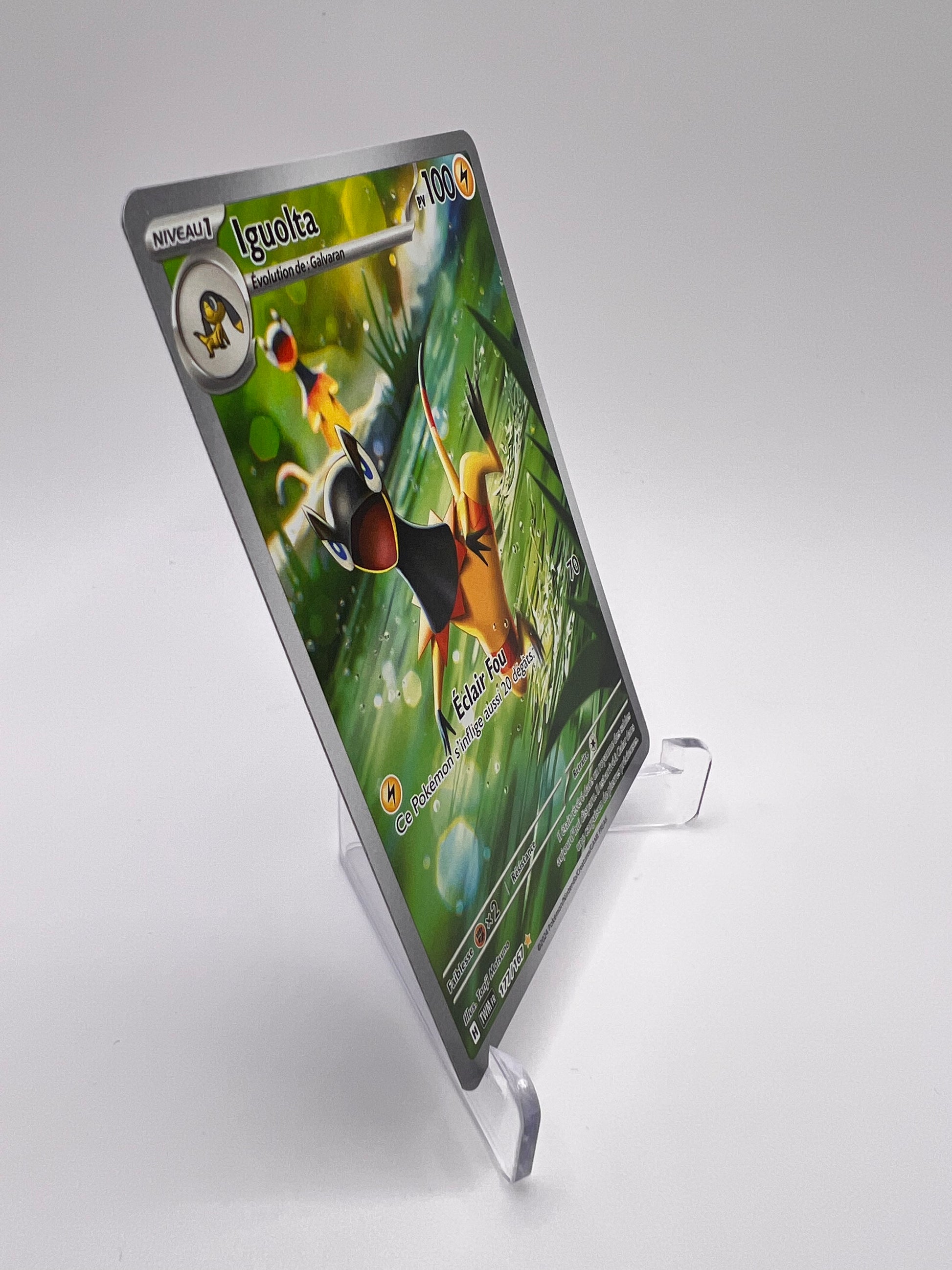 Iguolta 177/167 Pikadi Collect