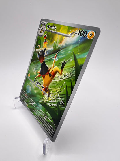 Iguolta 177/167 Pikadi Collect