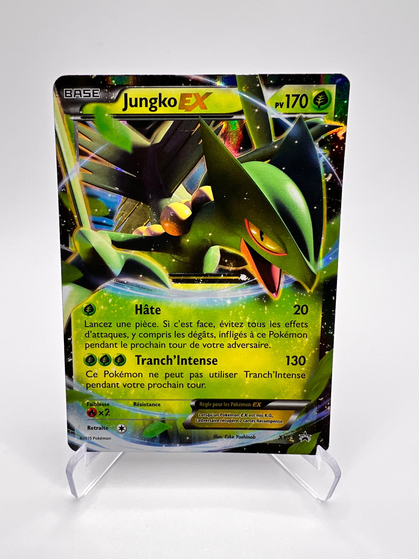 Jungle Ex XY53 Pikadi Collect