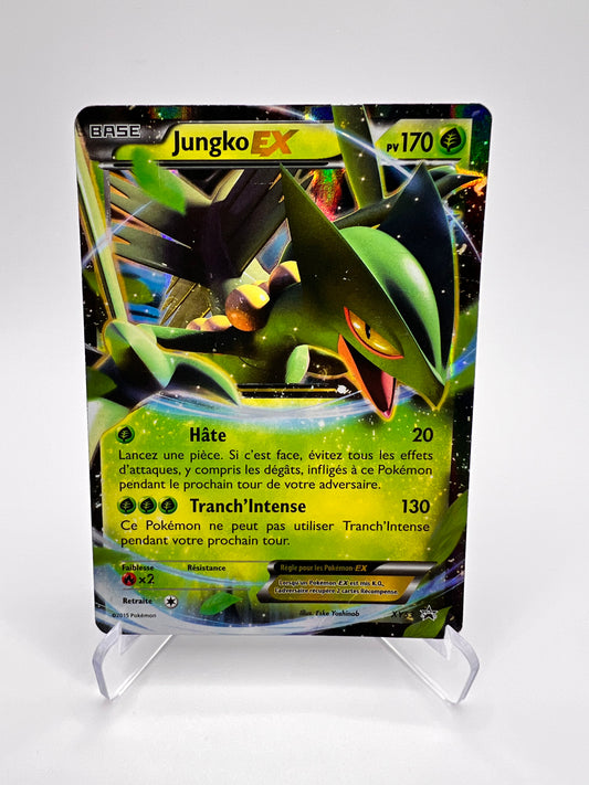 Jungle Ex XY53 Pikadi Collect