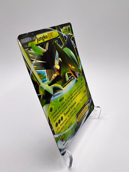Jungle Ex XY53 Pikadi Collect