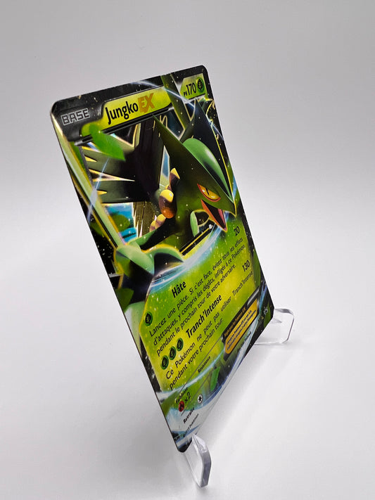 Jungle Ex XY53 Pikadi Collect