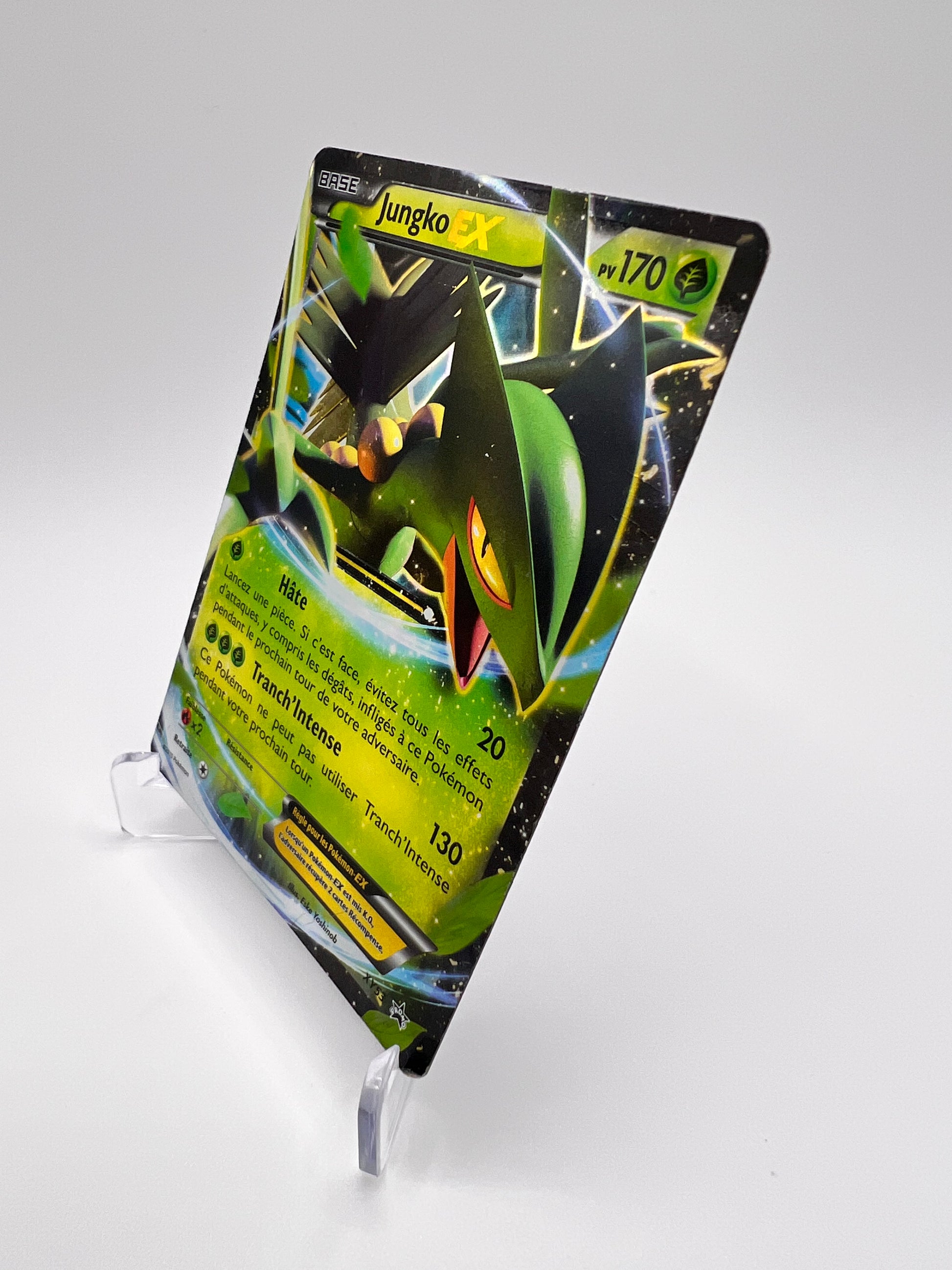 Jungle Ex XY53 Pikadi Collect