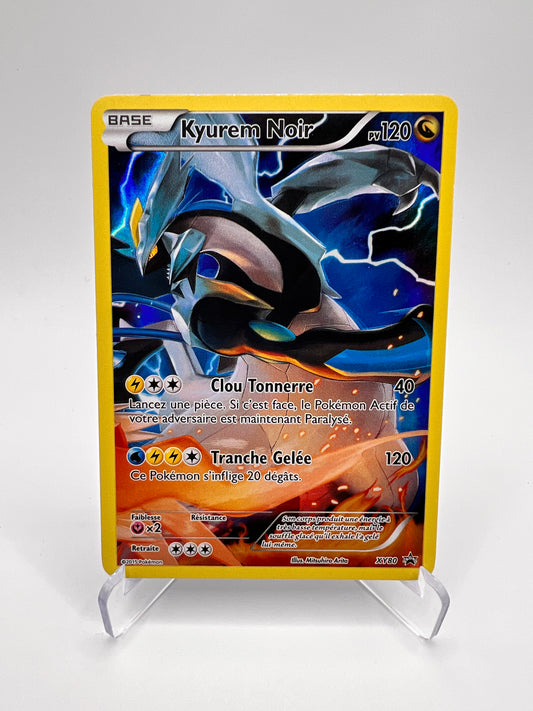 Kyurem Noir XY80 Pikadi Collect