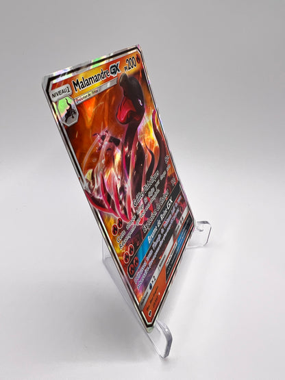 Malamandre GX 25/147 Pikadi Collect