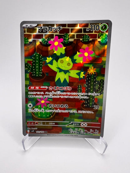 Maracachi (sv9 101) Pikadi Collect