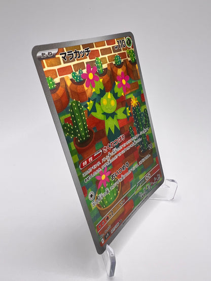 Maracachi (sv9 101) Pikadi Collect