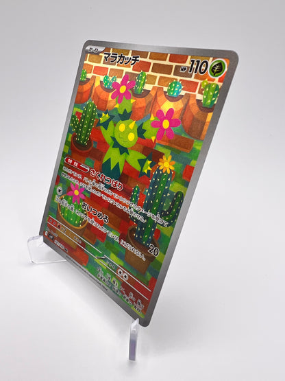 Maracachi (sv9 101) Pikadi Collect