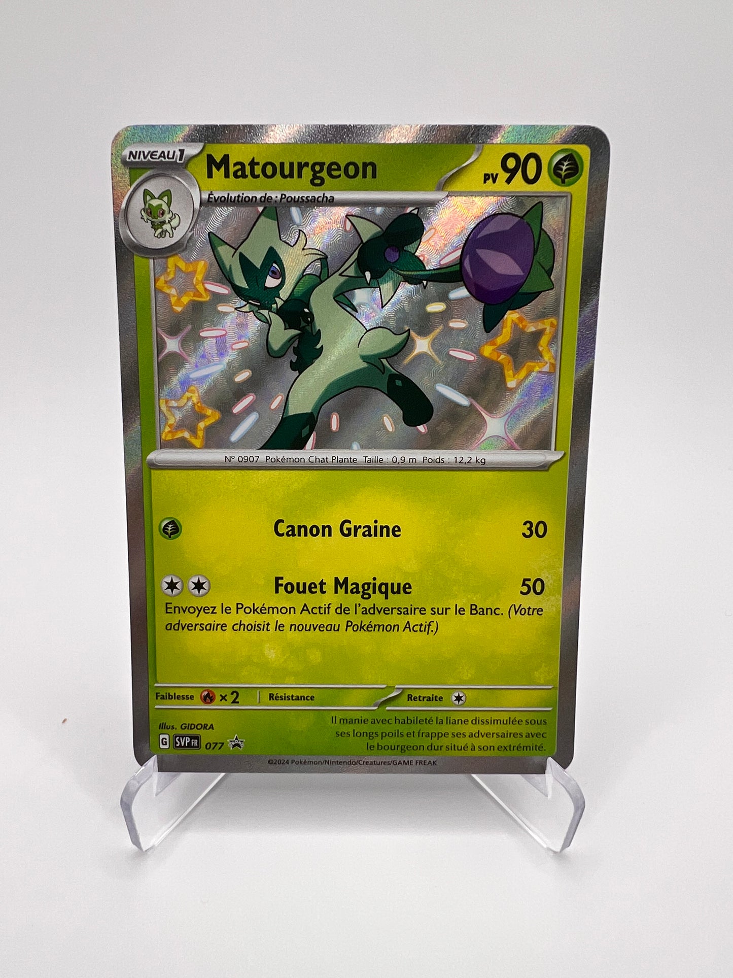 Matourgeon 077 Pikadi Collect