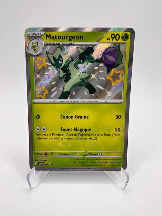 Matourgeon 077 Pikadi Collect