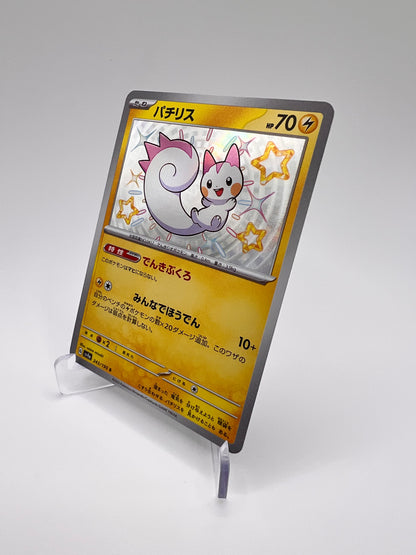 Pachirisu (sv4a 243) Jap Pikadi Collect