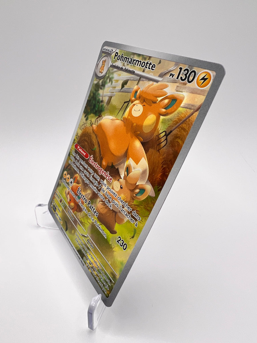 Pohmarmotte 209/198 Pikadi Collect