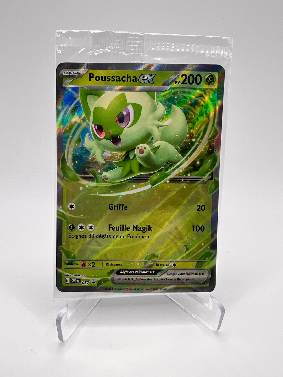Poussacha Ex 087 Pikadi Collect