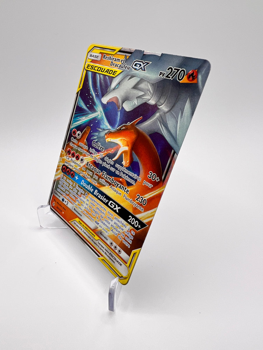 Reshiram et Dracaufeu 20/214 Pikadi Collect