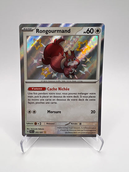 Rongourmand 205/091 Pikadi Collect