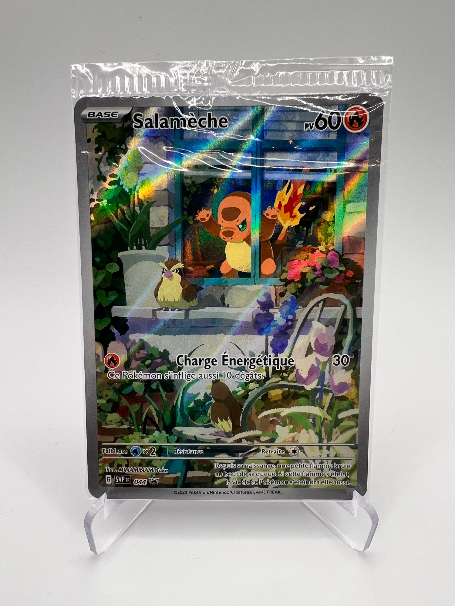 Salamèche 044 Pikadi Collect