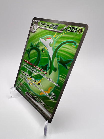 Serperior ex (sv11B 159) Jap Pikadi Collect
