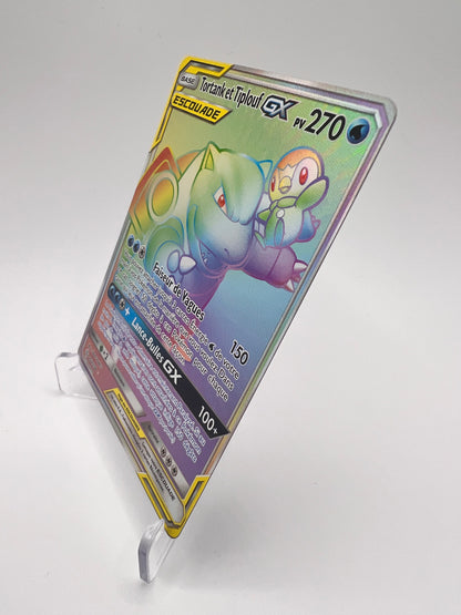 Tortank et Tiplouf GX 253/236 Pikadi Collect