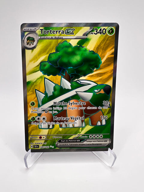 Torterra Ex 185/162 Pikadi Collect