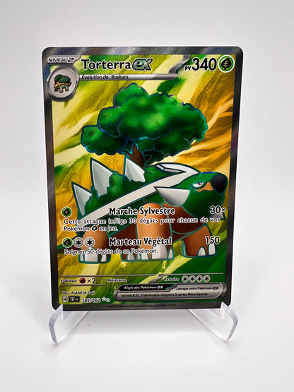 Torterra Ex 185/162 Pikadi Collect
