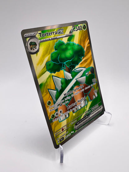 Torterra Ex 185/162 Pikadi Collect