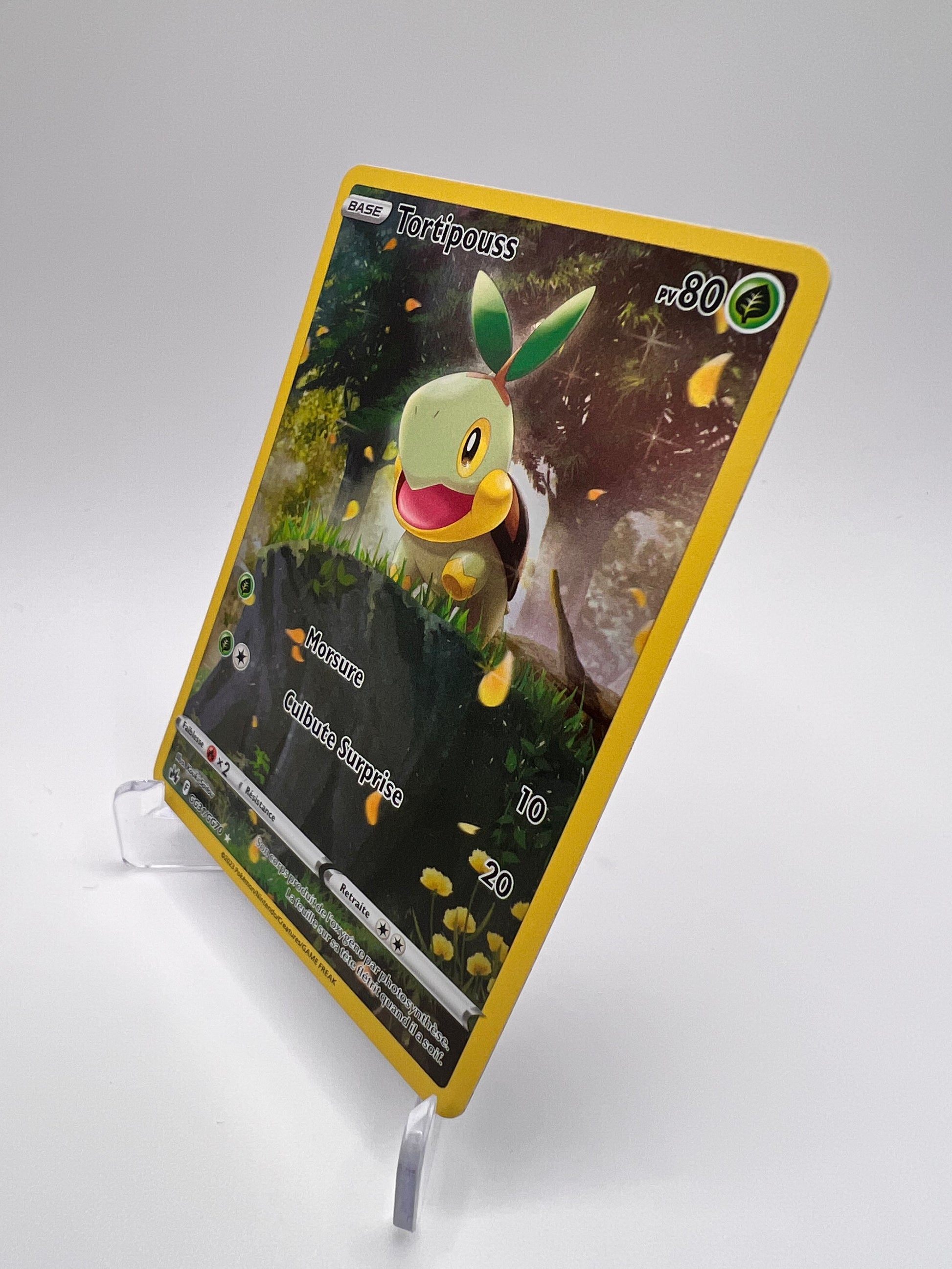 Tortipouss GG31/GG70 Pikadi Collect
