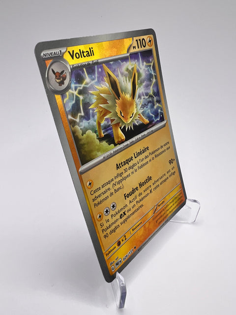 Voltali 029/131 Master Ball Pikadi Collect