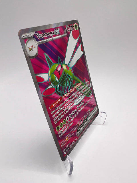 Yanmega Ex 206/182 Pikadi Collect
